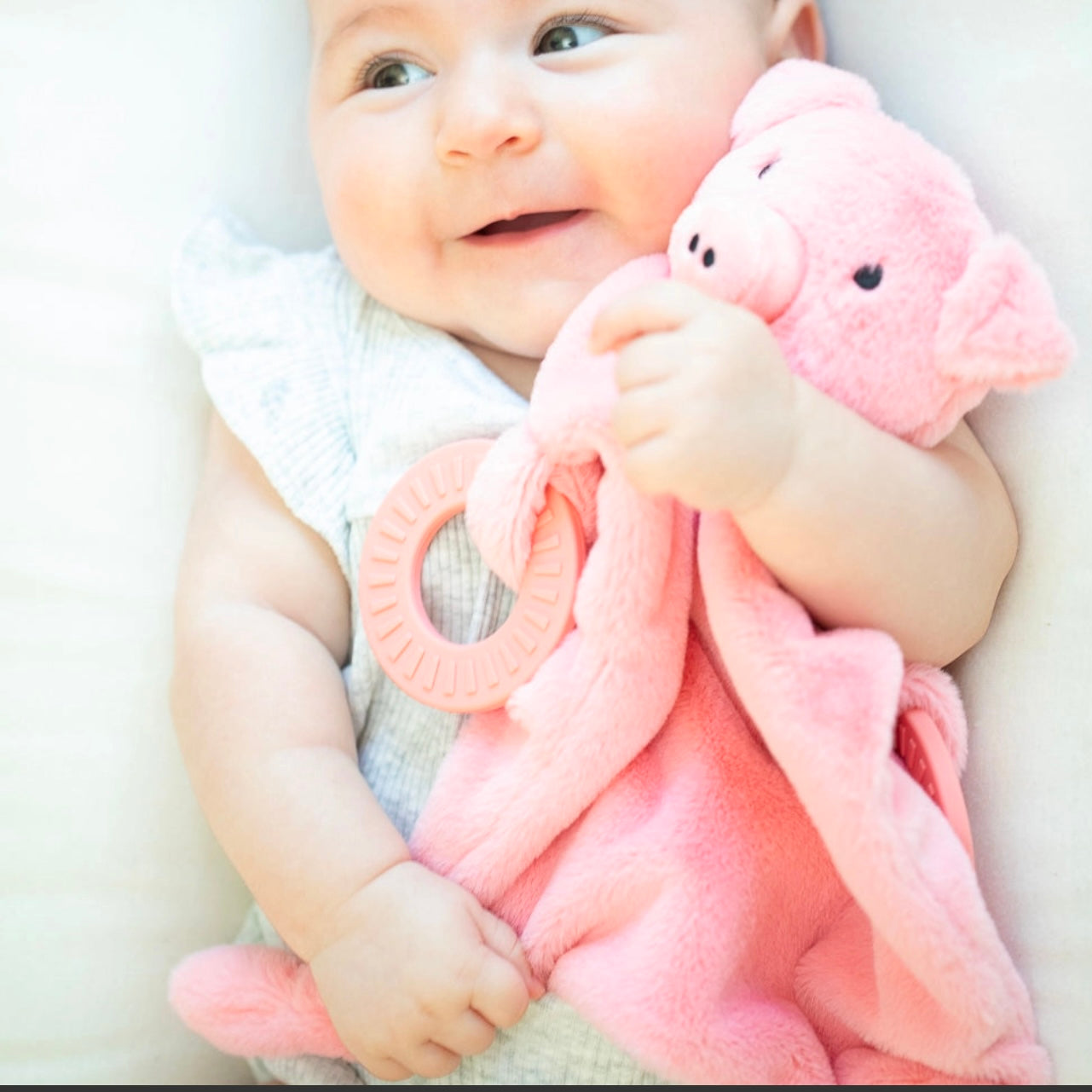 Pig Teether Buddy