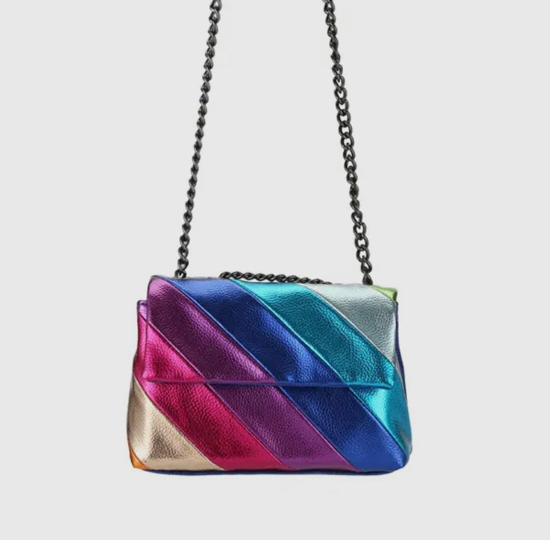 Multi Color Handbag