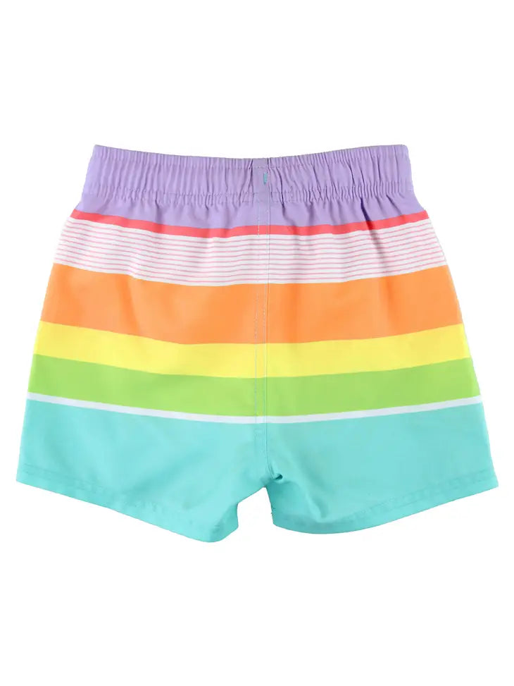 Island Rainbow Multi-Stripe Swim Trunks