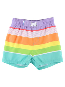 Island Rainbow Multi-Stripe Swim Trunks